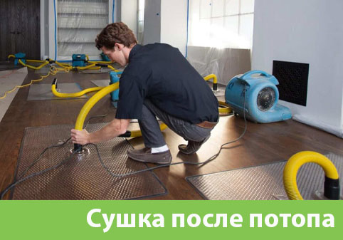 Сушка после потопа в городе Архангельск