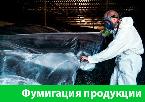 Фумигация продукции в городе Архангельск